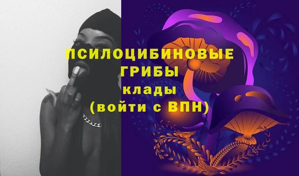 прущая мука Коряжма