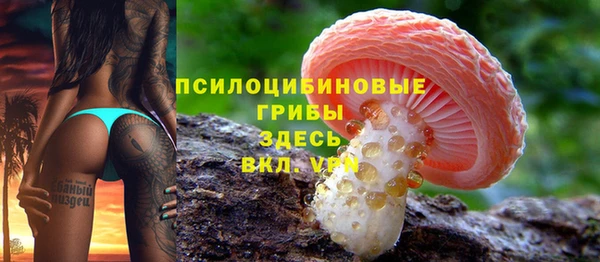 стафф Краснотурьинск